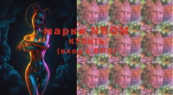 хмурый Надым