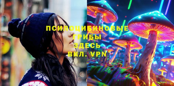 хмурый Надым