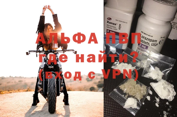 хмурый Надым
