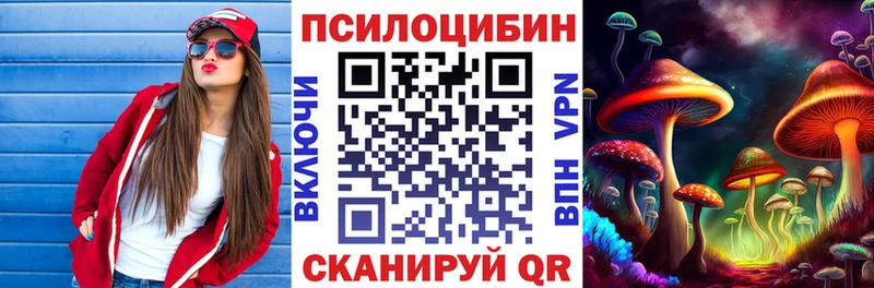 Купить  Балашиха  Псилоцибиновые грибы Psilocybine cubensis 