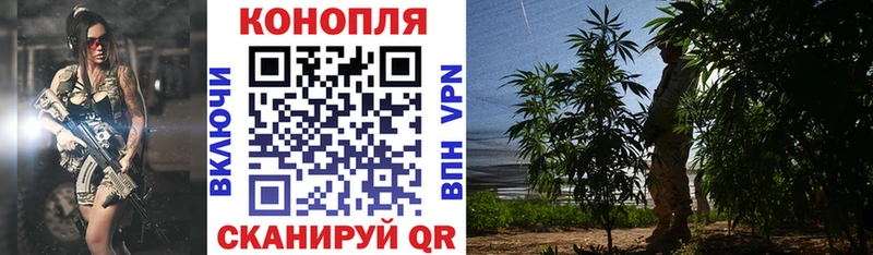 Бошки марихуана THC 21%  Купить  Балашиха 